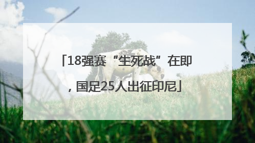 18强赛“生死战”在即，国足25人出征印尼
