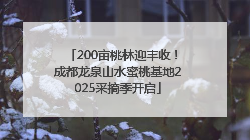 200亩桃林迎丰收！成都龙泉山水蜜桃基地2025采摘季开启
