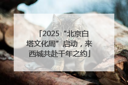 2025“北京白塔文化周”启动，来西城共赴千年之约
