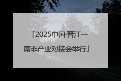 2025中国·晋江—南非产业对接会举行