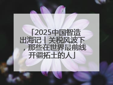 2025中国智造出海记丨关税风波下，那些在世界最前线开疆拓土的人