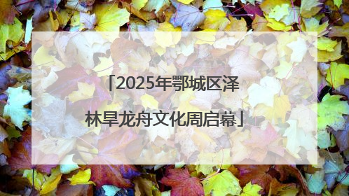 2025年鄂城区泽林旱龙舟文化周启幕