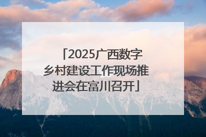 2025广西数字乡村建设工作现场推进会在富川召开