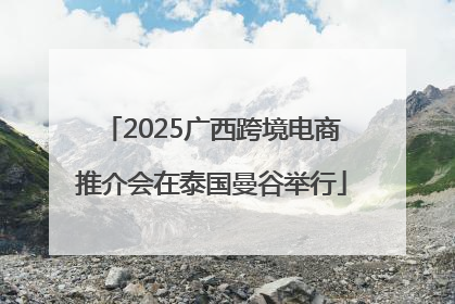 2025广西跨境电商推介会在泰国曼谷举行