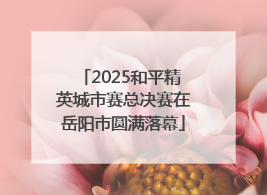 2025和平精英城市赛总决赛在岳阳市圆满落幕