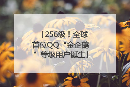 256级！全球首位QQ“金企鹅”等级用户诞生