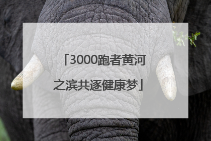 3000跑者黄河之滨共逐健康梦