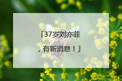 37岁刘亦菲，有新消息！