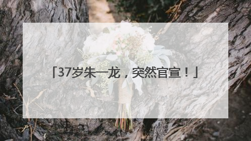 37岁朱一龙，突然官宣！