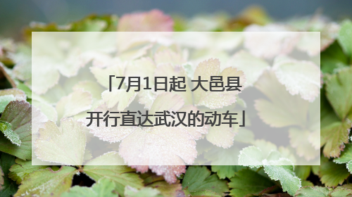 7月1日起 大邑县开行直达武汉的动车