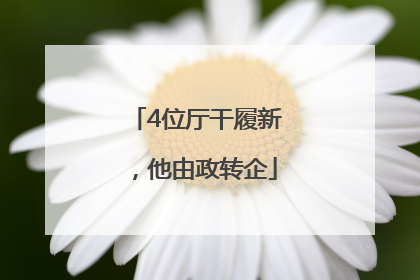 4位厅干履新，他由政转企