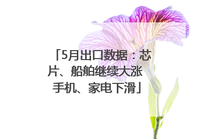 5月出口数据：芯片、船舶继续大涨 手机、家电下滑