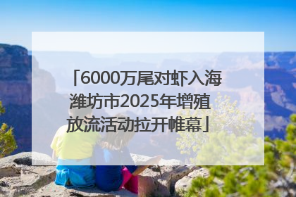 6000万尾对虾入海 潍坊市2025年增殖放流活动拉开帷幕
