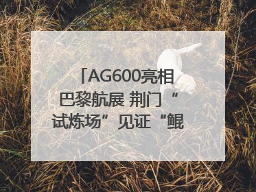 AG600亮相巴黎航展 荆门“试炼场”见证“鲲龙”腾飞