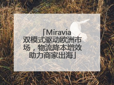 Miravia双模式驱动欧洲市场，物流降本增效助力商家出海