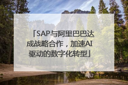 SAP与阿里巴巴达成战略合作，加速AI驱动的数字化转型